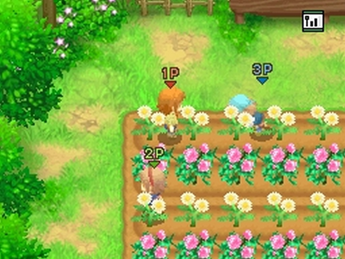 harvest moon tale of two towns tips